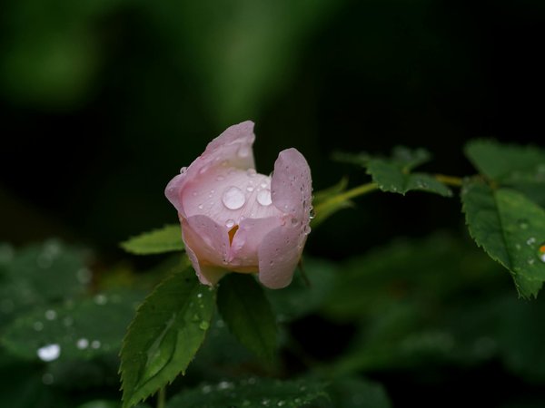 Volet roulant bloqué en haut : astuces pratiques pour le débloquer