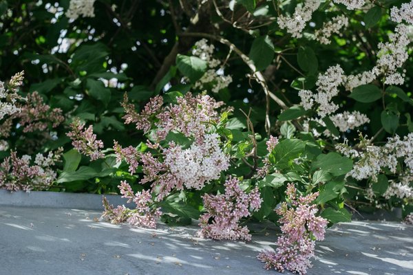 Ménage auxerre : optez pour un intérieur toujours propre !